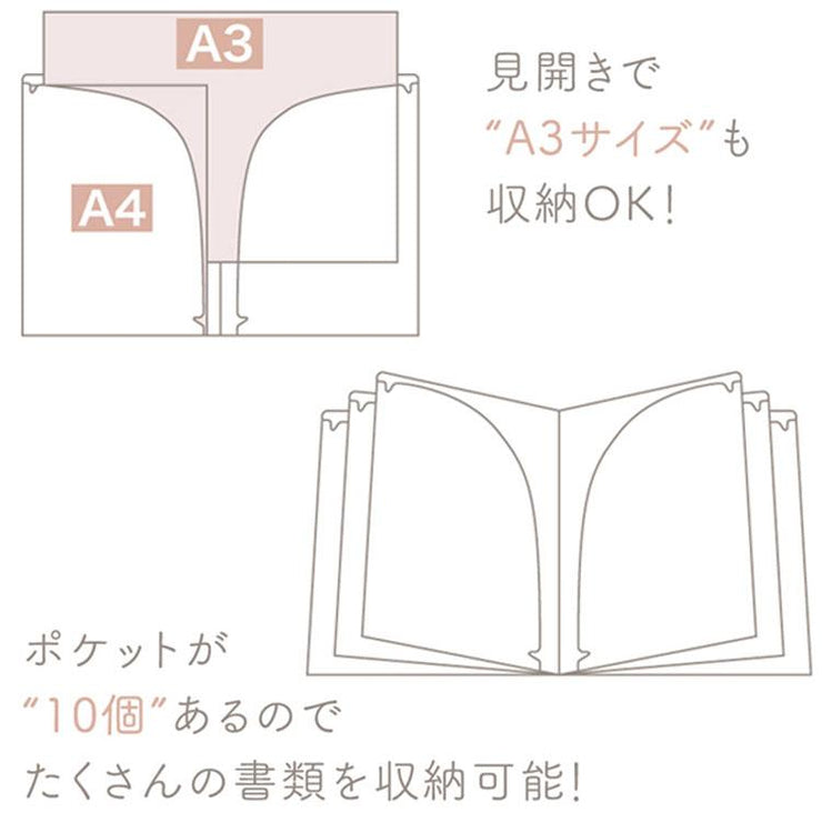 [Rilakkuma] -BASIC RILAKKUMA HOME CAFE - 10-Pocket Plastic Document Holder -B San-X Official Japan 2023