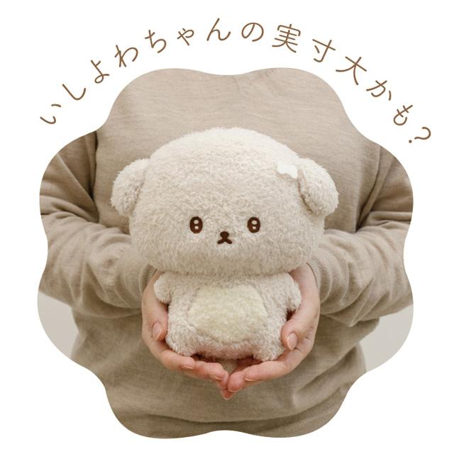 [Ishiyowachan] -Ashita no Jibun ni Makasemasu- Plush Toy San-X Official Japan 2024