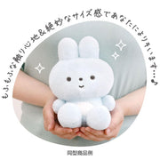 [Pokantotan] -Pokan to Doshitano?- Yorisoi Pokanto Plush Toy - Agetan San-X Official Japan 2024