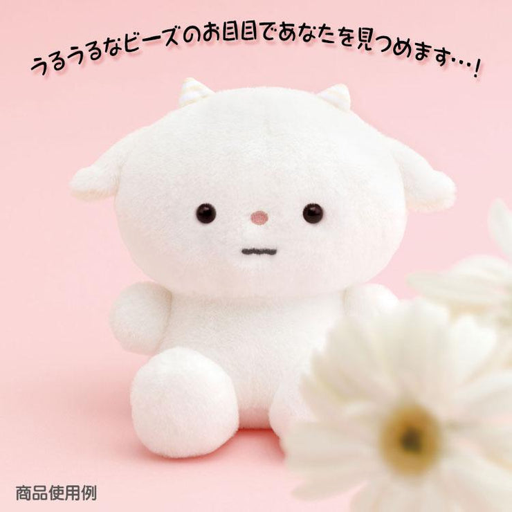 [Pokantotan] -Pokan to Doshitano?- Yorisoi Pokanto Plush Toy - Hiyatan San-X Official Japan 2024